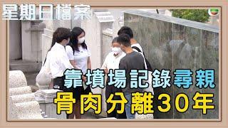 墳場揭開親人真相 尋親者的最後希望 墳場登記冊｜新聞 | 時事 | 資訊節目 | 星期日檔案｜Sunday Report