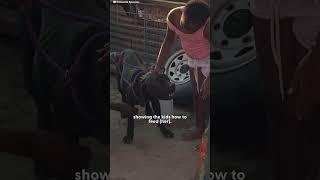 "Aggressive" Dog Was Tied Up Without Food Or Water | The Dodo