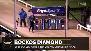 Bockos Diamond - 2024 BoyleSports Irish Greyhound Derby Final