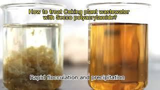 How to treat coking plant wastewater with secco polyacrylamide pam?