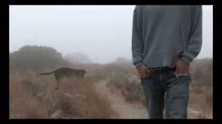 Its Alright - Nick Hernandez