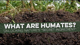 Unlocking the Power of Humate: Unveiling its Importance for Soil Health and Plant Growth | Explained