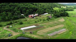 Star Route Farm & The 607 CSA