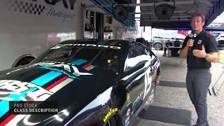 NHRA 101: Pro Stock Car