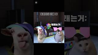 뇌 빼고 만듦 #고양이밈 #dandysworld #댄디의세계