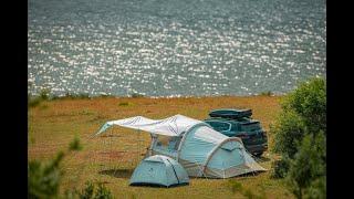 Camping by the Lake with Cows | A Serene Nature Experience