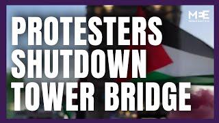 Protesters shutdown London's Tower Bridge