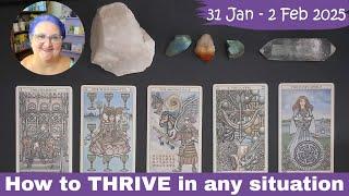 How to THRIVE in any situation | Timeless Tarot Reading