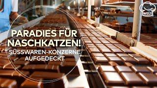 PARADIES FÜR NASCHKATZEN: Deutsche Süßwaren-Konzerne produzieren auf Rekordniveau! | FOOD DOKU