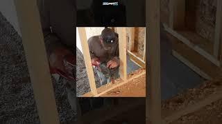 Rough-in Plumbing For New Construction | Building A $350,000 Custom House | Episode 18 Part 5