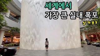 세계에서 가장 큰 실내 폭포 | 싱가포르 쥬얼 창이 공항 | 이민생활 | 여행