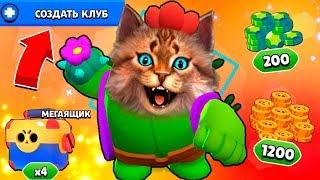 СЕКРЕТНОЕ ВИДЕО Brawl Stars