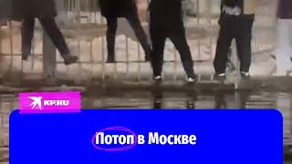 Потоп научил москвичей перемещаться над глубокими лужами