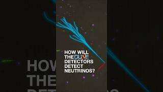 How will the DUNE detectors detect neutrinos?