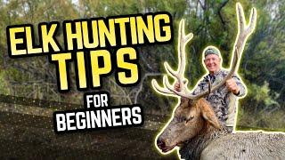 Elk Hunting Tips for Beginners with Fred Eichler - Boost YOUR ODDS!