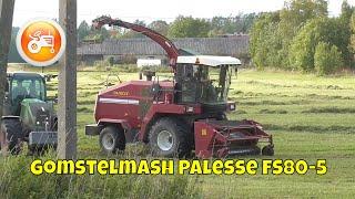 Gomstelmash Palesse FS80-5 forage harvester