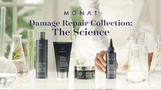 The Science Behind Damage Repair Collection | MONAT Haircare