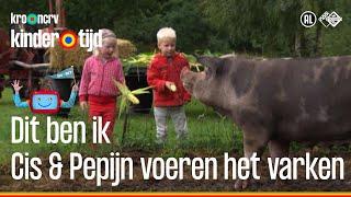  Cis en Pepijn voeren mais aan het varken op de boerderij (Kindertijd KRO-NCRV)