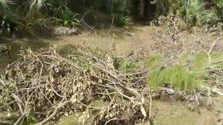 Tornado yard debris in Naples