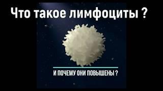 почему повышены лимфоциты и что это значит ?