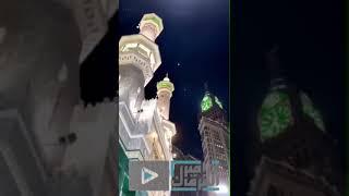 (هذا بصائر للناس وهدى) #_د.ياسر الدوسري