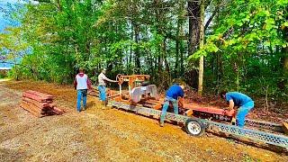 Sawing and preparing to fatten BEEF!