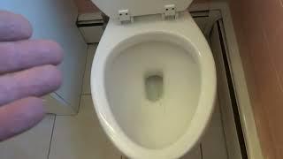 OLD LADY COMPLAINING OF A PERFECTLY FLUSHING TOILET
