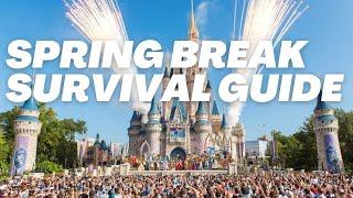 Spring Break at Disney World: How to Survive Disney Crowds