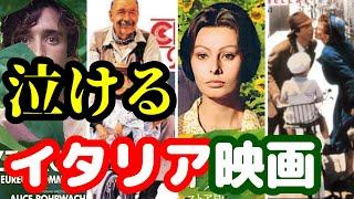 【号泣確定】泣けるイタリア映画４選【おすすめ映画紹介】【ひまわり】【ウクライナ】