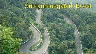 Sathyamangalam forest