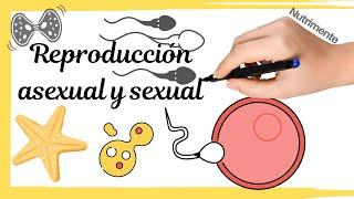 REPRODUCCIÓN asexual y sexual