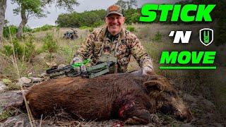 STICK N' MOVE - BOWHUNTING FERAL HOGS