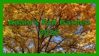 Adams' Fall Garden