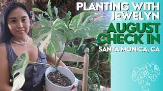 Planting with Jewelyn: New Merch, Plant talk + Life update