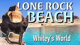 Lone Rock Beach Lake Powell | Whitey's World | The Best Of The Southwest