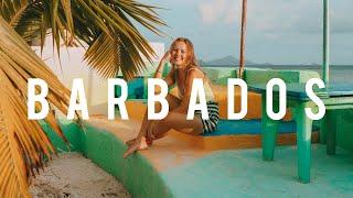 BARBADOS | What To Do In Bridgetown In One Day