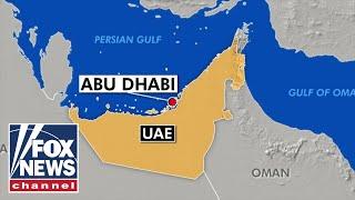 Israel-UAE peace deal a 'major victory for US foreign policy': Walid Phares