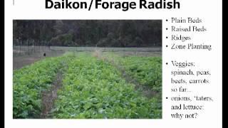 Using Winter Killed Cover Crops for Organic No-till Spring Vegetables