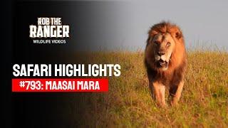 Safari Highlights #793: 24 November 2024 | Maasai Mara/Zebra Plains | Latest #Wildlife Sightings