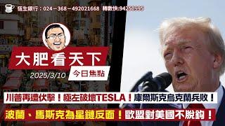 川普再遭伏擊！極左破壞Tesla！庫爾斯克烏克蘭兵敗！波蘭、馬斯克為星鏈反面！歐盟對美國不脫鈎！