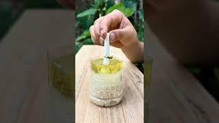 Survival Skills :Survival Candle Made from Rice and Oil! #camping #bushcraft #survival