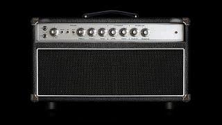 IK Multimedia ToneX plugin / Two-Rock TS-1 Tone Model (Dumble Overdrive Special 50) / Stratocaster