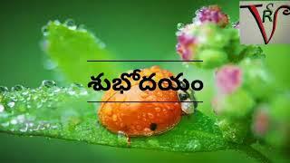 Whatsapp Status Text Video | Good Morning Text Video | VSR NEWS CHANNEL