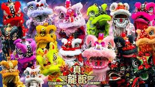 Lion Dance | Zheng Loong Guan Establishment Ceremony | 真龙馆成立慶典 | 舞狮舞龙参神 | Lions & Dragons Dance