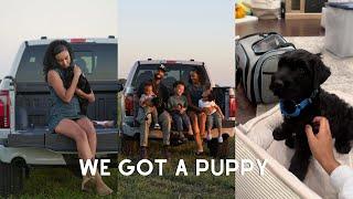 Spend the Day with Me | Getting a New Puppy + A New Truck | Mom of 3