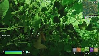 Fortnite_20250525022429