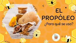 El PROPÓLEO: Propiedades y Beneficios