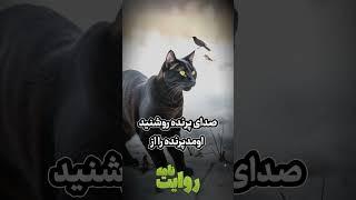 سه درس زندگی از پرنده یخی #facts #داستان #پندآموز #درس_زندگی