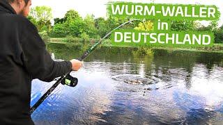 Mit Wurm auf Wels | Step by Step Fluss #3