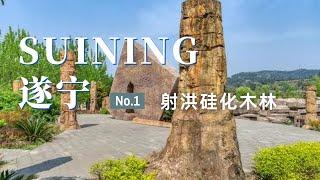 【遂宁旅行】来遂宁旅行，我不推荐这里！录了视频给大家看一下 | 射洪硅化木国家地质公园 | 走遍中国旅行vlog